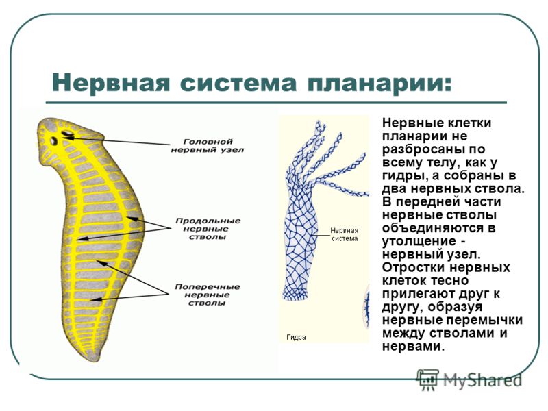 Не приходят деньги на кракен