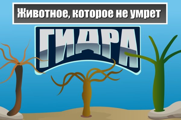 Зеркало kraken тор ссылка рабочее