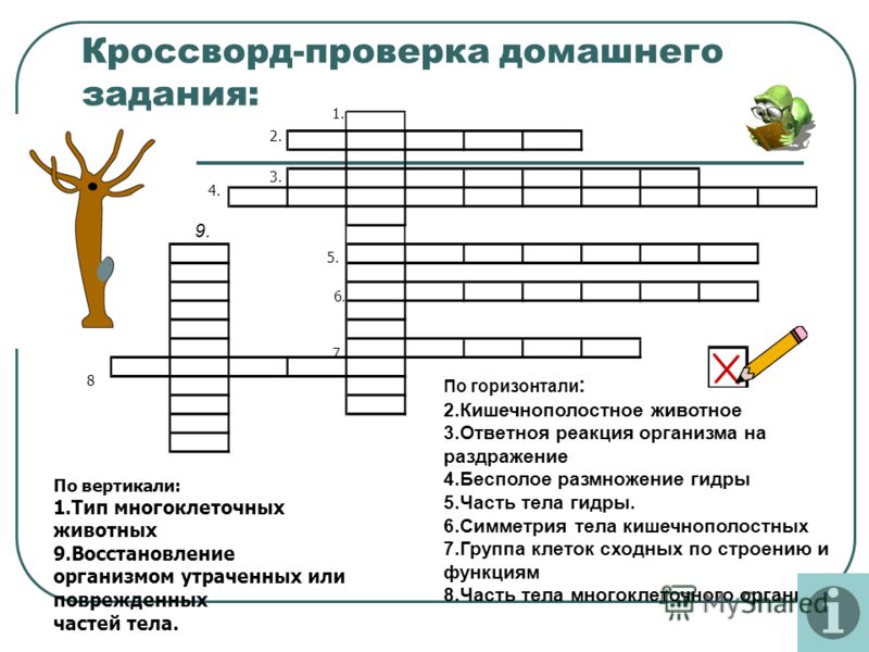 Как зарегистрироваться в кракен в россии