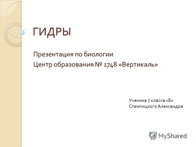 Почему не работает кракен сегодня